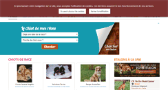 Desktop Screenshot of chiens-de-france.com